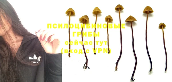 метадон Киренск