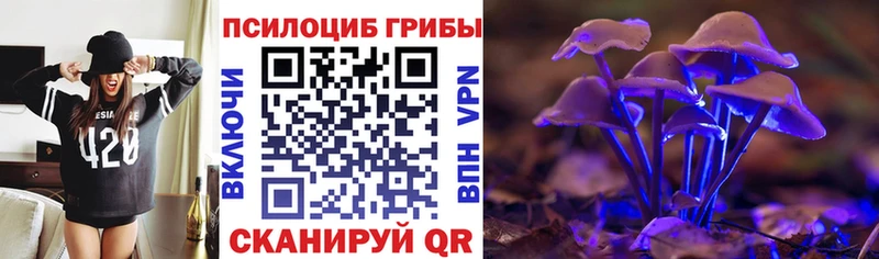 Псилоцибиновые грибы GOLDEN TEACHER  Серафимович 